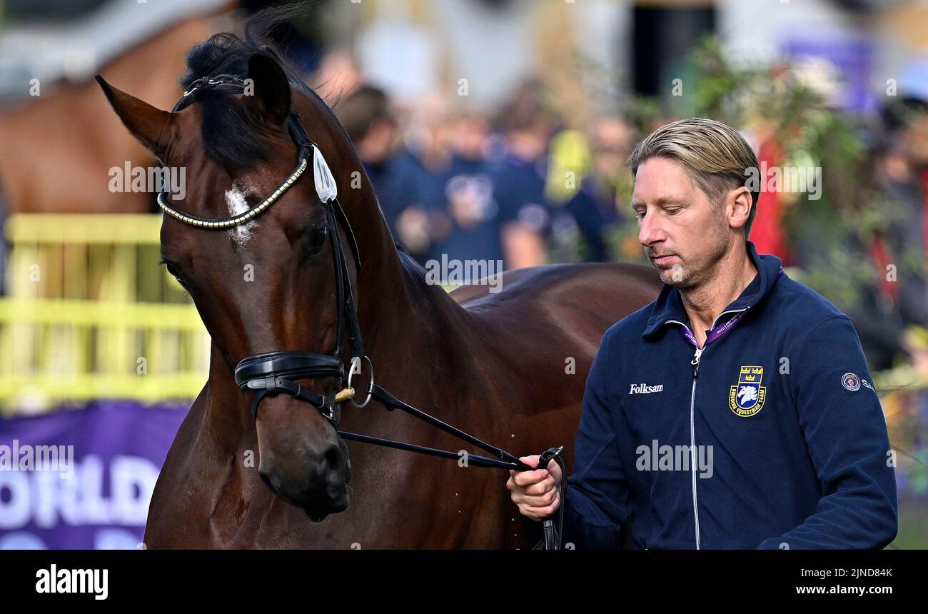 Herning, Danimarca. 10th ago, 2022. World Equestrian Games. Scuderie. Patrik Kittel (SWE) cavalcando TOUCHDOWN durante l'ispezione del cavallo da dressage. Credit: Sport in Pictures/Alamy Live News Foto Stock