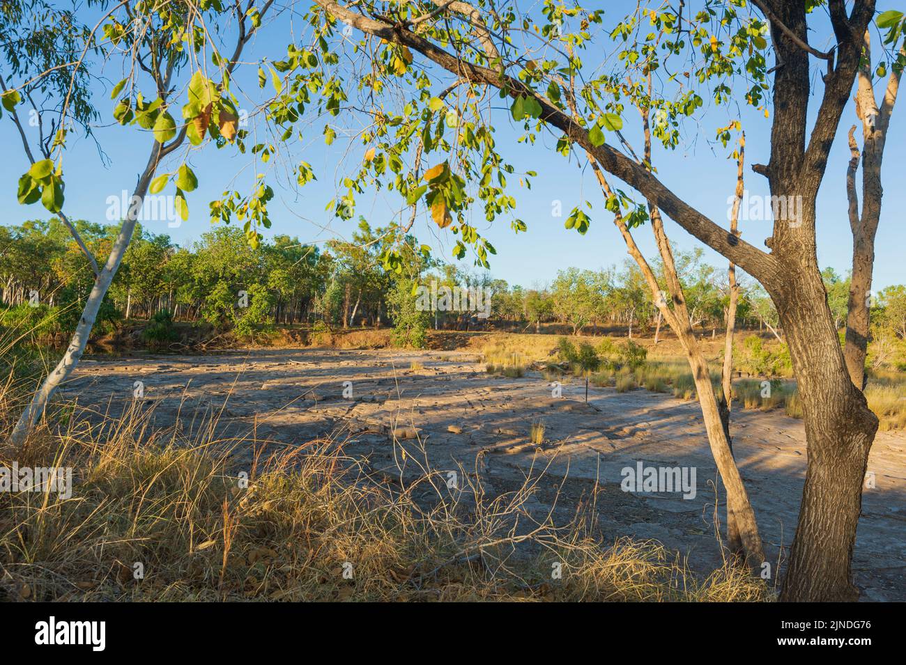 Il fondo asciutto del fiume East Baines in Judbarra/Gregory National Park, Northern Territory, NT, Australia Foto Stock