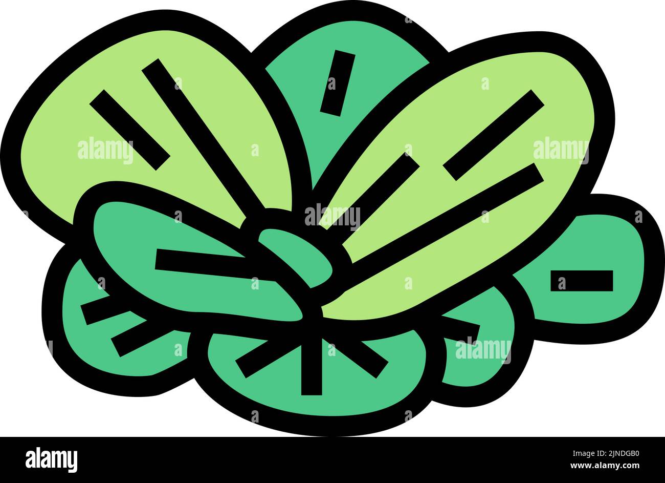 immagine vettoriale dell'icona a colori della lattuga d'acqua Illustrazione Vettoriale