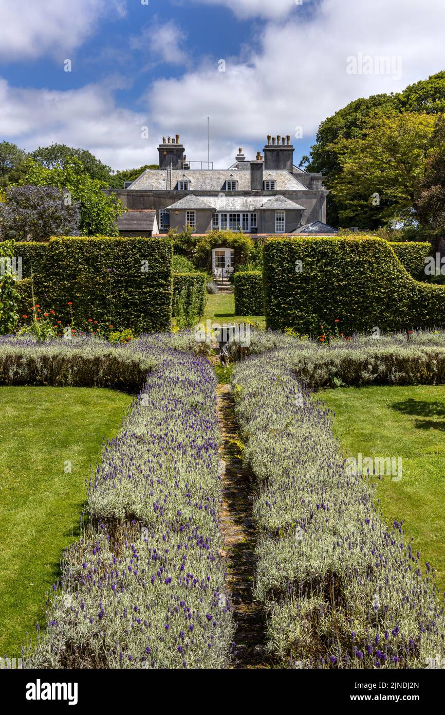 Trewithen Casa e giardino, Truro, Cornwall, Inghilterra Foto Stock