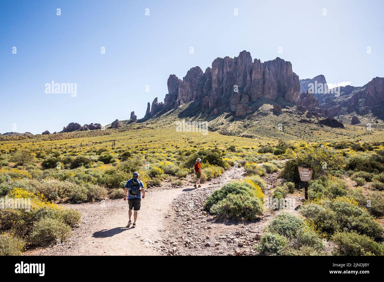 Due uomini che camminano nel Lost Dutchman state Park, Arizona, USA. Foto Stock