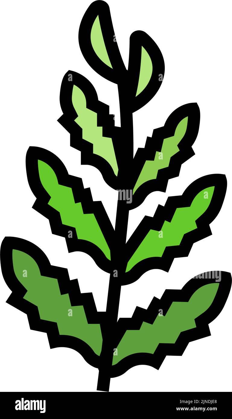 illustrazione del vettore icona a colori di felce d'acqua africane Illustrazione Vettoriale