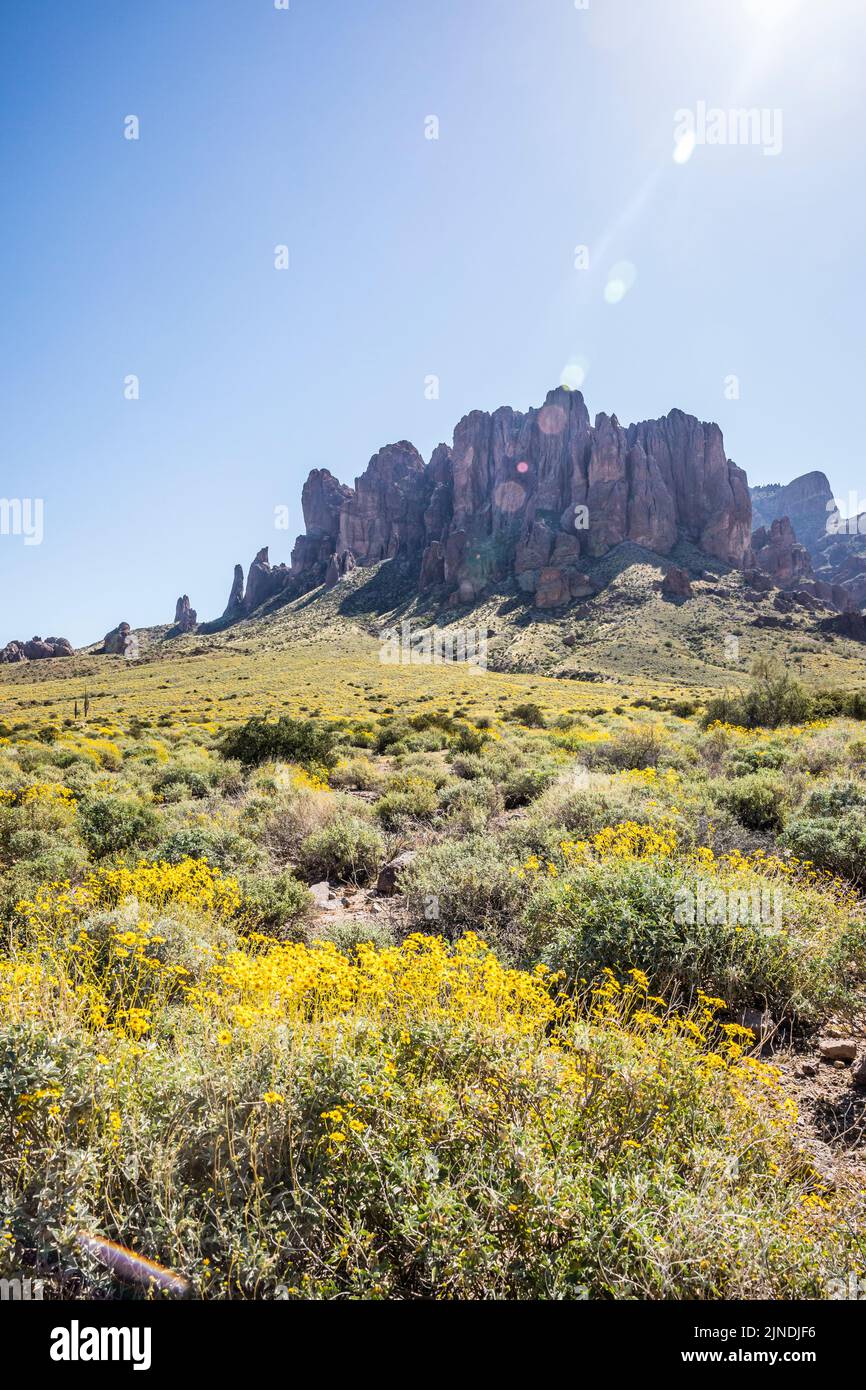 Ripide formazioni rocciose e fiori gialli sulle colline sottostanti nel Lost Dutchman state Park, Arizona, USA. Foto Stock