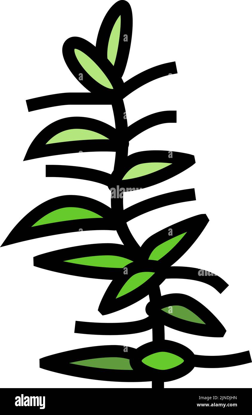 illustrazione vettore icona colore polyperspermy idrofilia Illustrazione Vettoriale