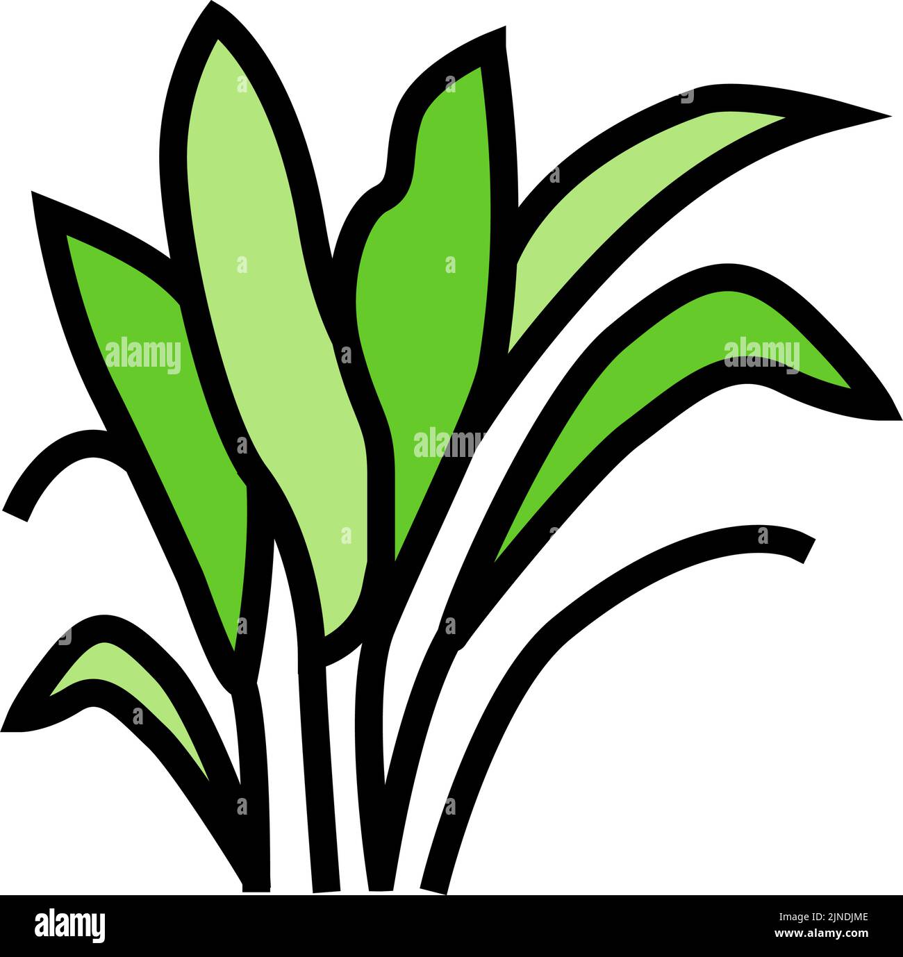 immagine vettoriale dell'icona a colori di amazon sword Illustrazione Vettoriale