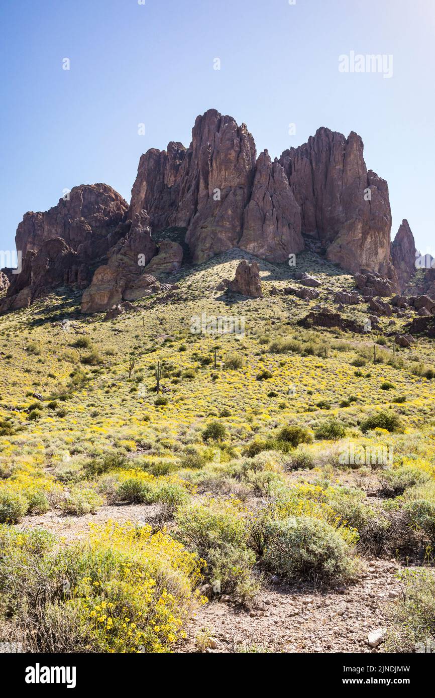 Ripide formazioni rocciose e fiori gialli primaverili nel Lost Dutchman state Park, Arizona, USA. Foto Stock