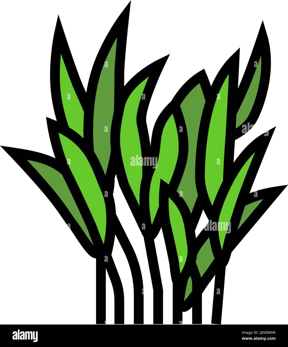 illustrazione del vettore delle icone a colori java fern Illustrazione Vettoriale