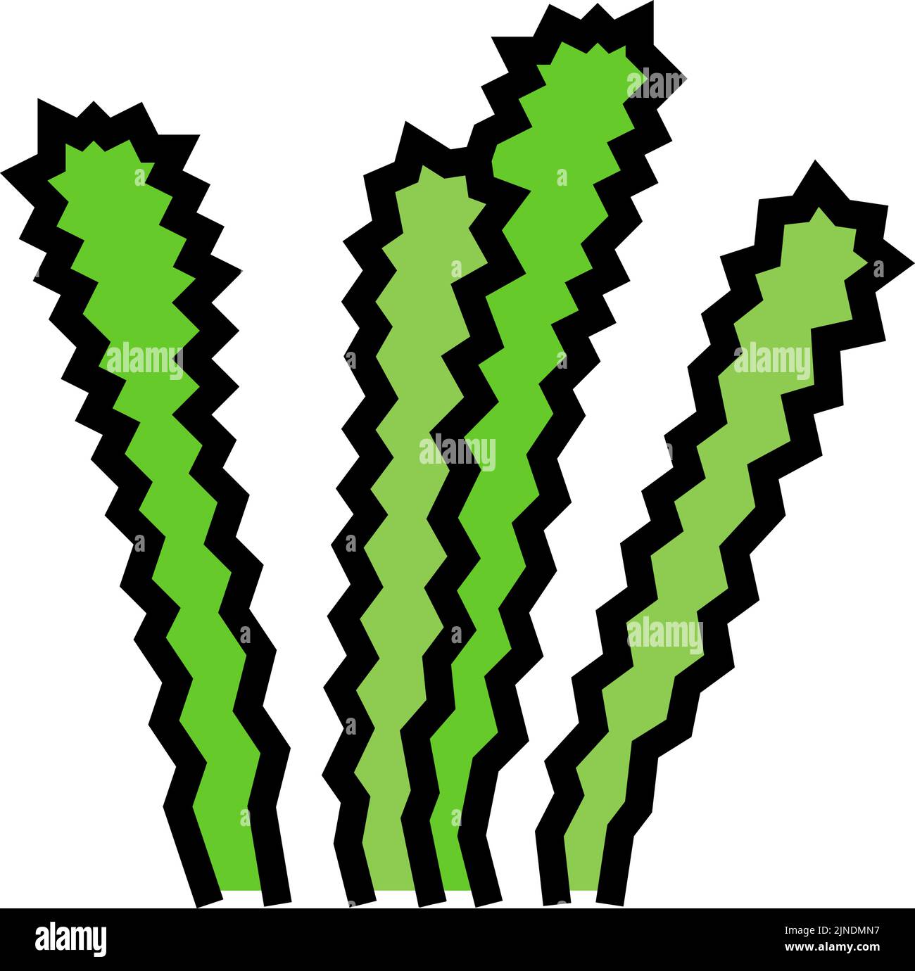 elodea densa colore icona illustrazione vettore Illustrazione Vettoriale