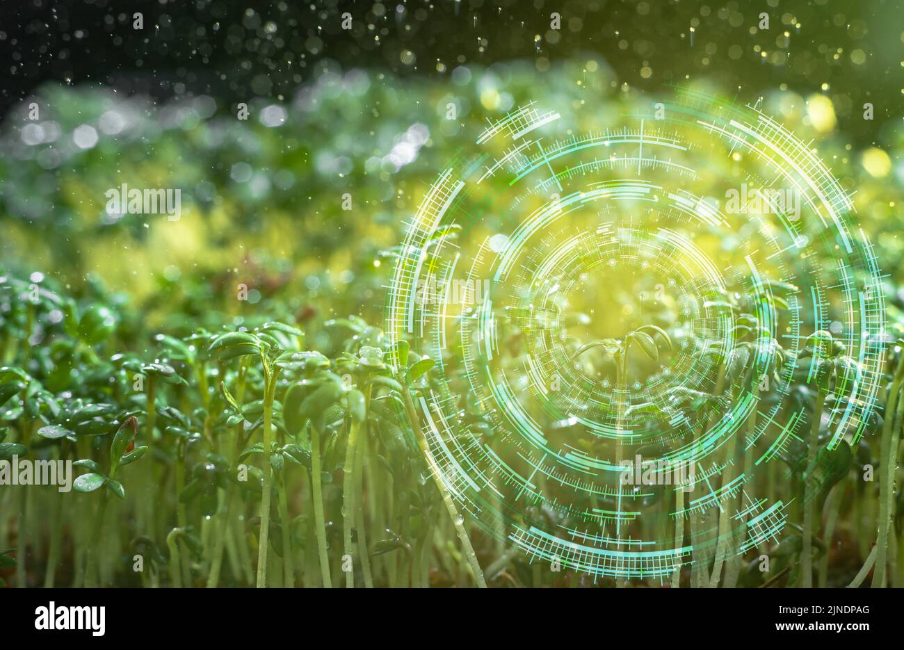 Tecnologia agricola intelligente, il concetto di tecnologia intelligente. Cibo del futuro Foto Stock
