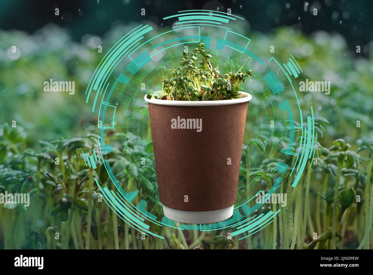Eco Cup con verde sullo sfondo di un letto verde con elementi di computer grafica. Riciclaggio intelligente e moderno. Vita senza plastica. Foto Stock