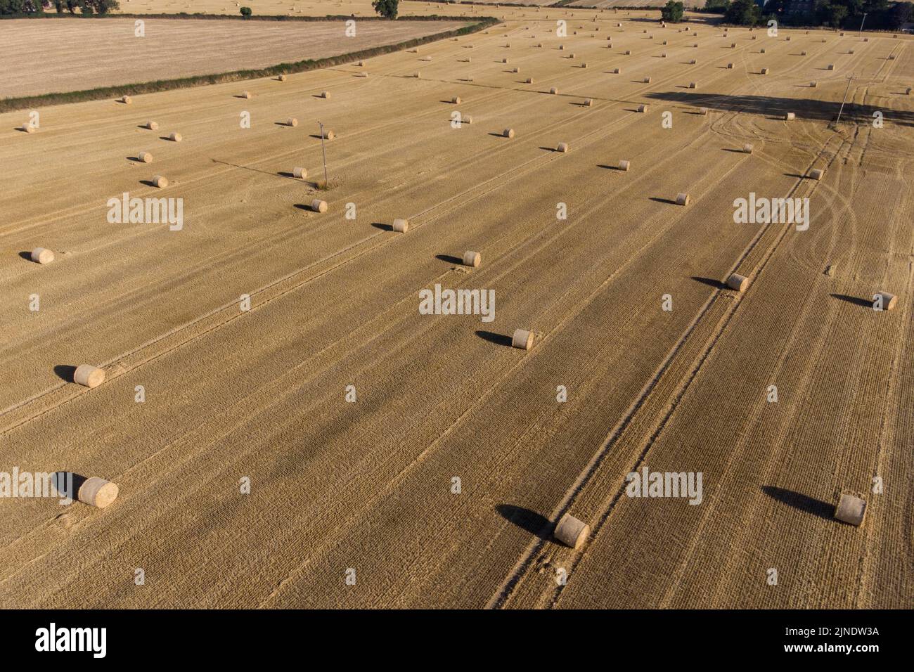 Felton Butler, Shropshire, Inghilterra, 11 agosto 2022. - Centinaia di balle di fieno si trovano al sole del mattino su terreni asciutti e parcheggiati a Felton Butler vicino a Shrewsbury, nello Shropshire, mentre l'ondata di calore continua a colpire il Regno Unito e l'Europa con avvertimenti di calore estremi emessi alla maggior parte dell'Inghilterra e del Galles. Fig. Per credito: Interrompi stampa Media/Alamy Live News Foto Stock