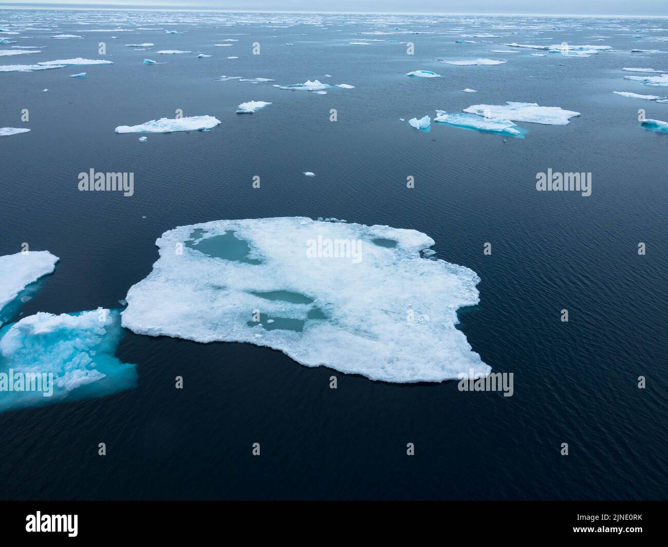 Floating Pack Ice nell'oceano artico. Il ghiaccio glaciale blu innevato è una natura incontaminata. Svalbard, Norvegia Foto Stock