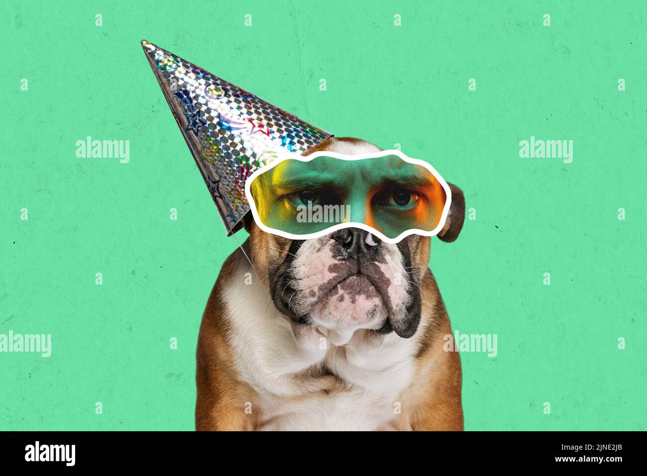 Party maker. Carino Bulldog con occhi umani che esprimono emozioni diverse isolato su sfondo di colore ciano. Stile rivista Foto Stock Party maker. Carino Bulldog con occhi umani che esprimono emozioni diverse isolato su sfondo di colore ciano. Stile rivista Foto Stock