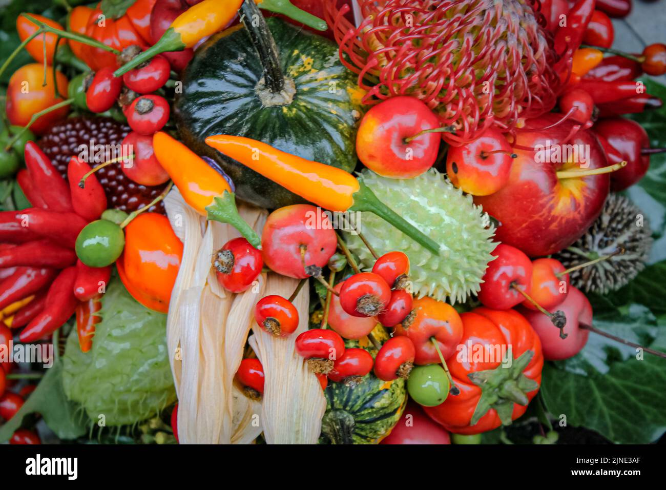 Doni della natura, la natura morta d'autunno, la frutta d'autunno, le verdure e le bacche Foto Stock