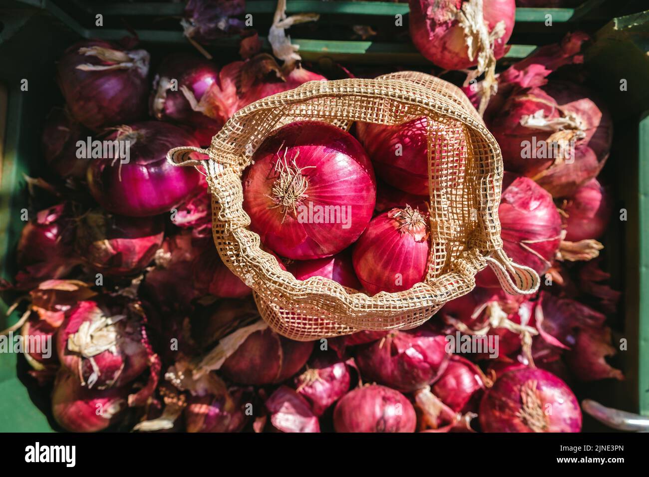 Utilizzo di un sacchetto ecologico riutilizzabile. Foto Stock