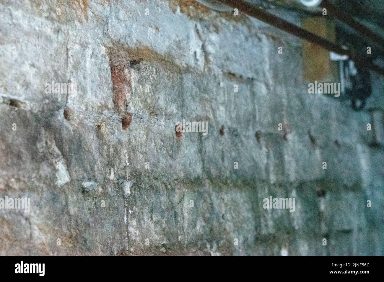 Corso a prova di umidità fallito nel seminterrato della cantina con problema di umidità in aumento Foto Stock