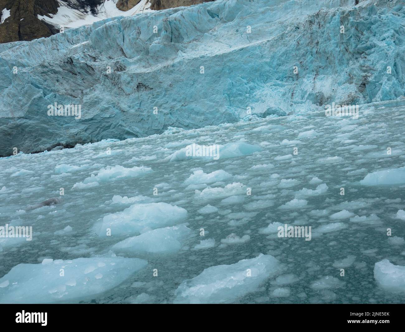 Samarinbreen finì in un fronte calvante a Samarinvagan, una baia sul lato sud del fiordo di Hornsundfjord. Foto Stock