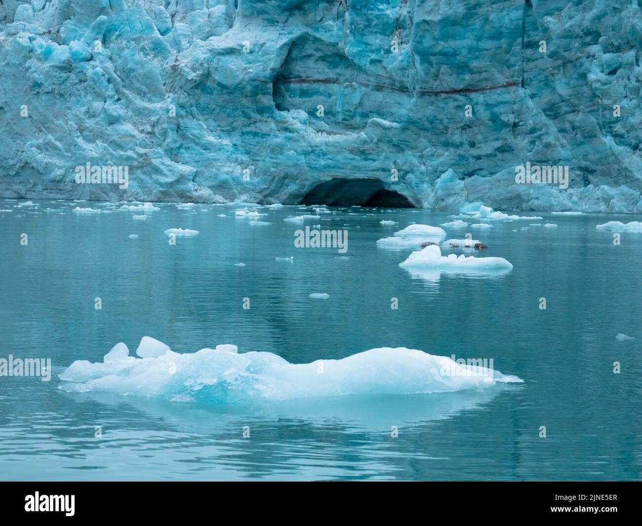 Samarinbreen finì in un fronte calvante a Samarinvagan, una baia sul lato sud del fiordo di Hornsundfjord. Foto Stock