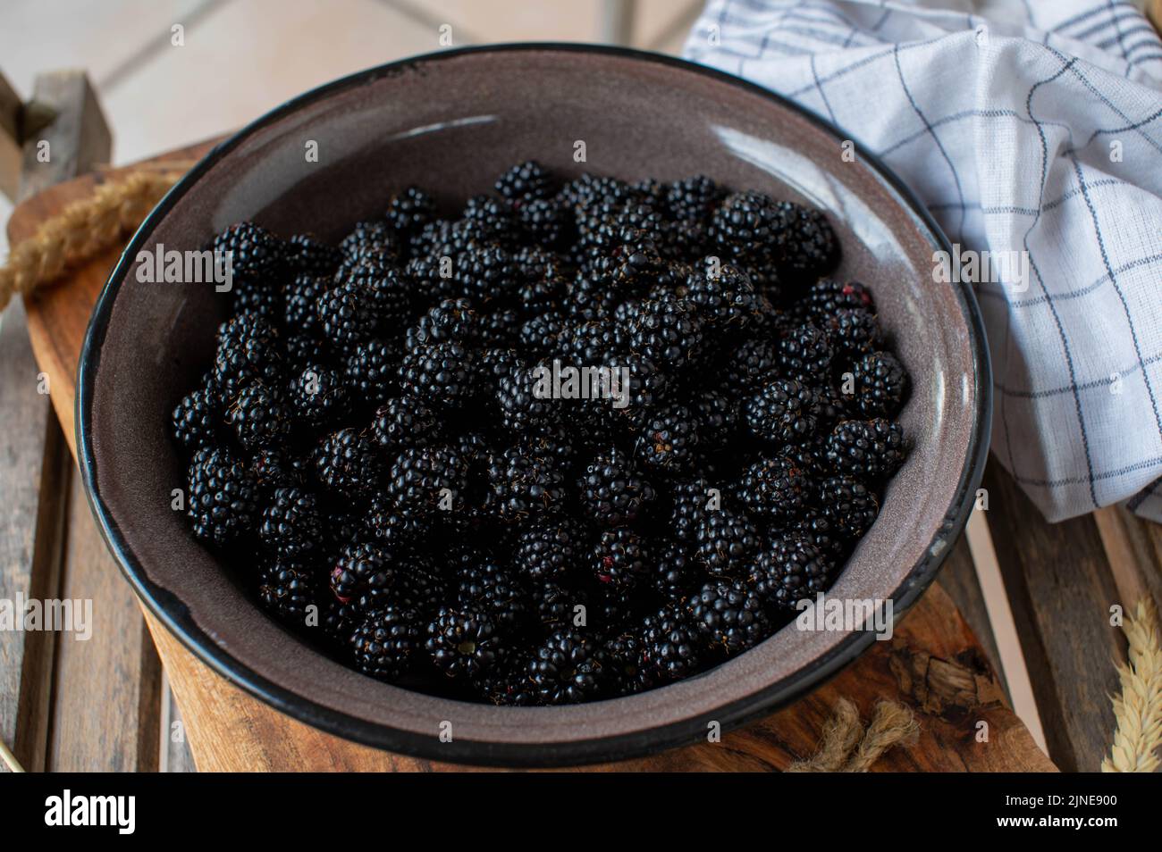 Ciotola con frutti di bosco appena raccolti Foto Stock