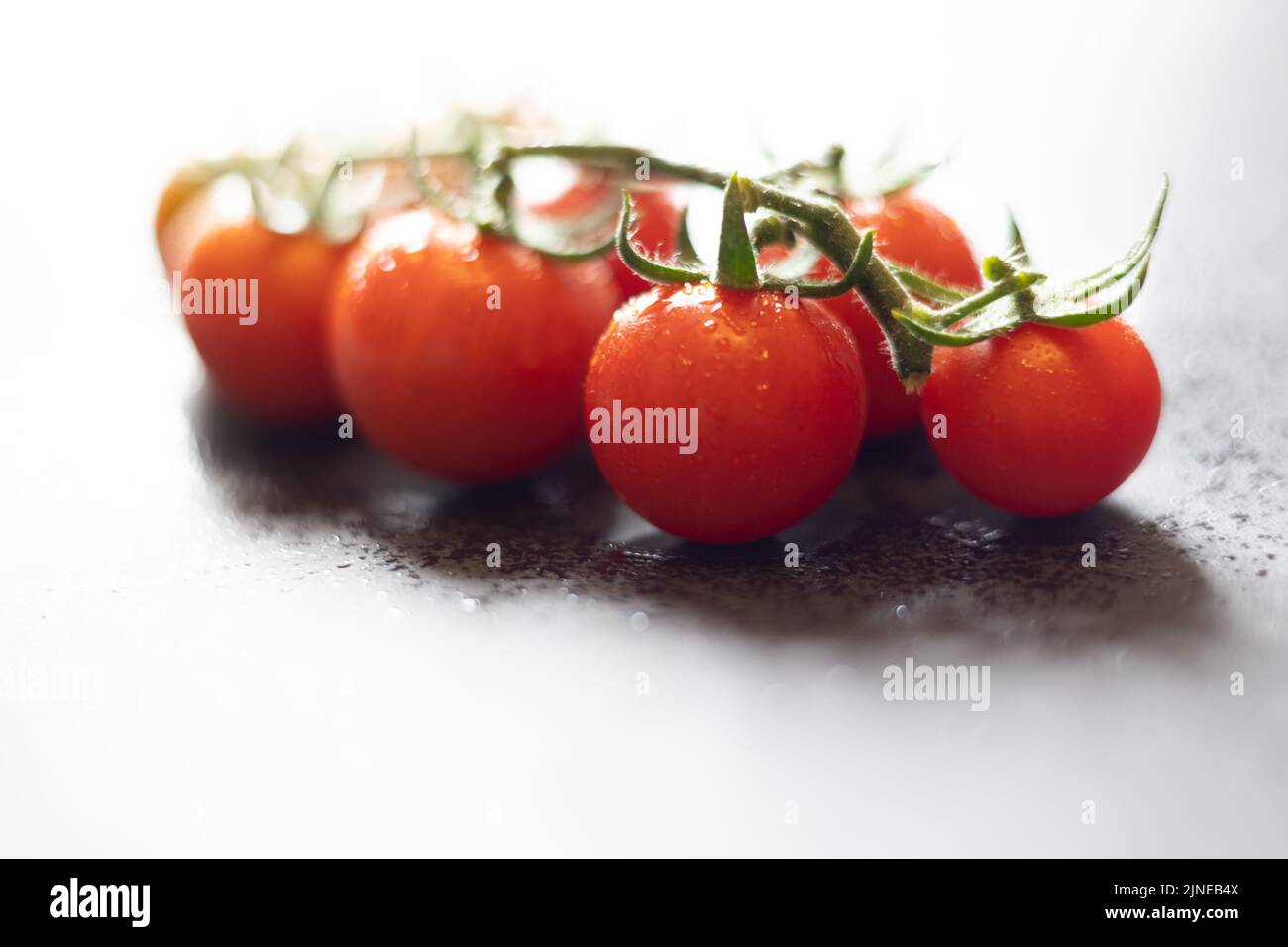Pomodori rossi Solanum lycopersicum- (ciliegia rossa) su fondo bianco. Foto Stock