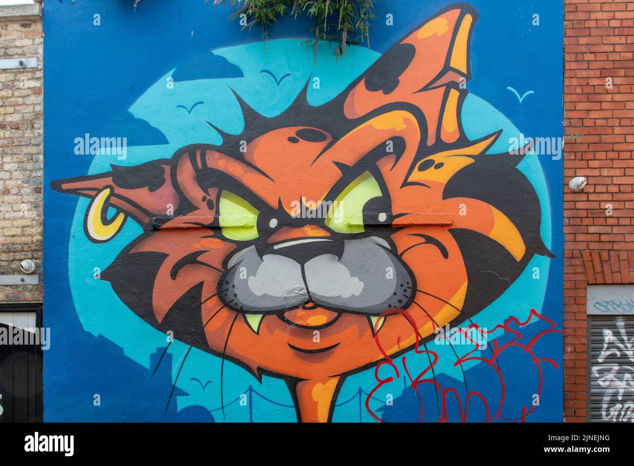 Camden Street Art, Dublino, Irlanda Foto Stock