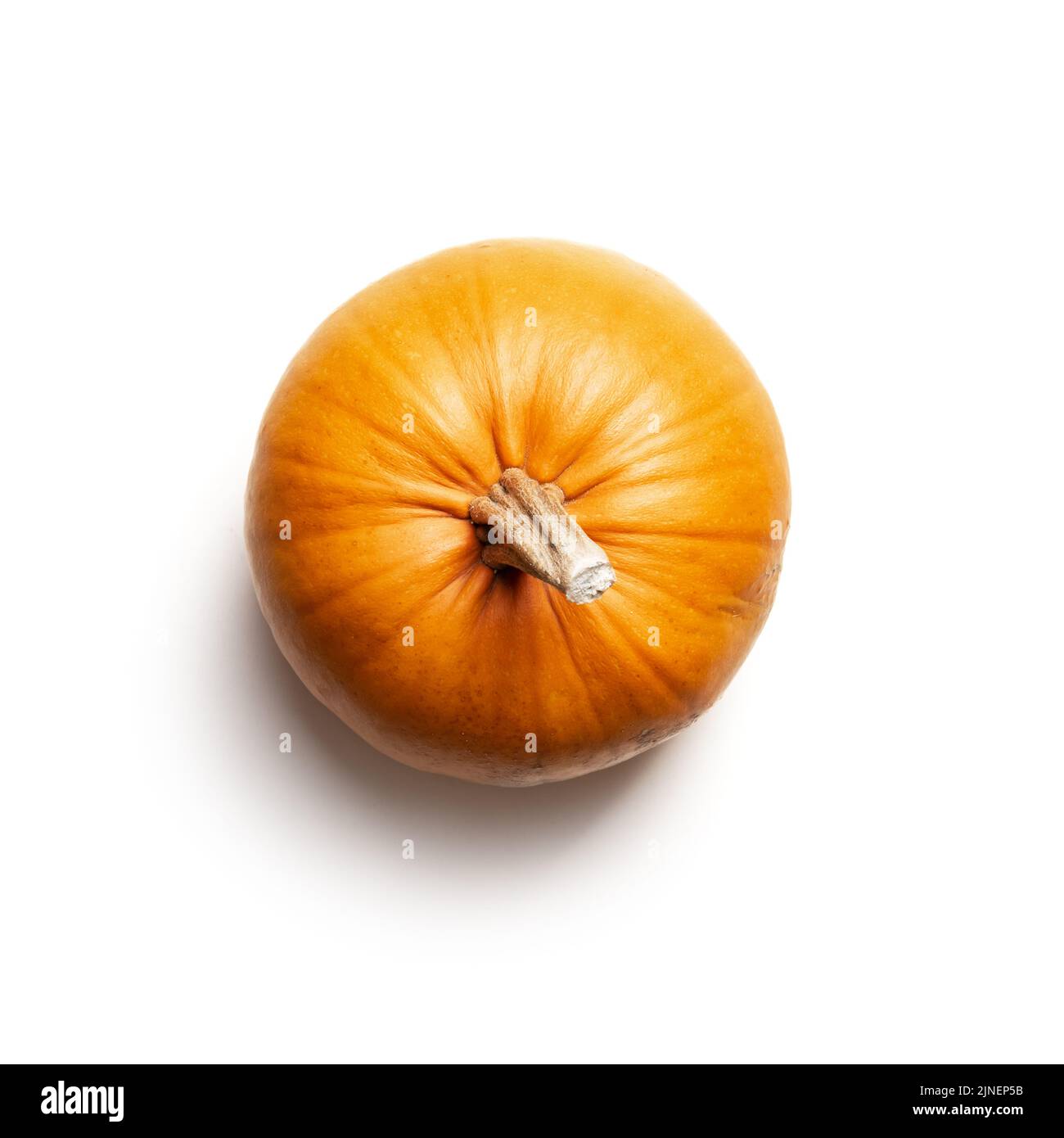 Zucca arancione isolata su sfondo bianco. Fotografia di cibo. Concetto di Halloween. Vista dall'alto. Parte di set diversi tipi di zucche. Foto Stock