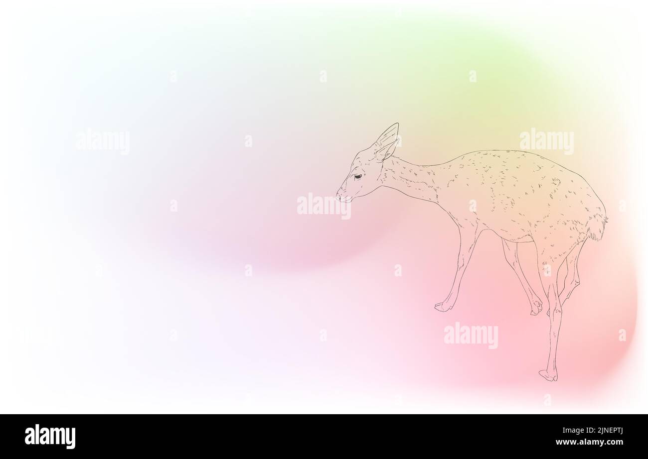 Illustrazioni animali realistiche: Sfondo iridescente: Femmina del cervo iridescente Illustrazione Vettoriale