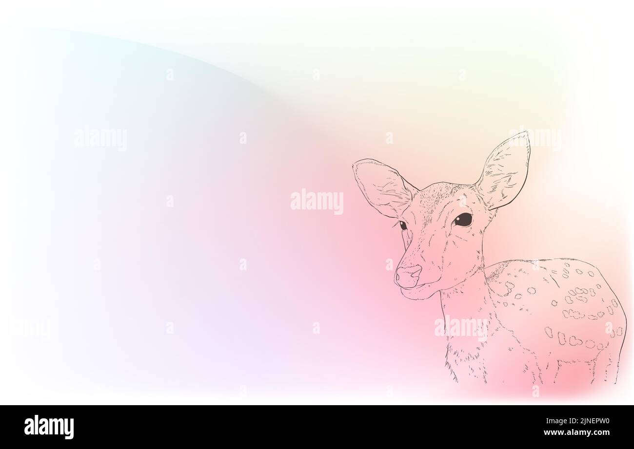 Illustrazioni animali realistiche: Sfondo iridescente: Guardando una femmina del cervo dal davanti Illustrazione Vettoriale