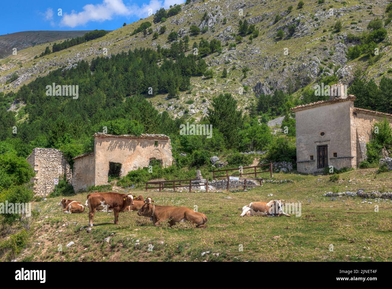 Frattura Vecchia, Scanno, Aquila, Abruzzo, Italia Foto Stock