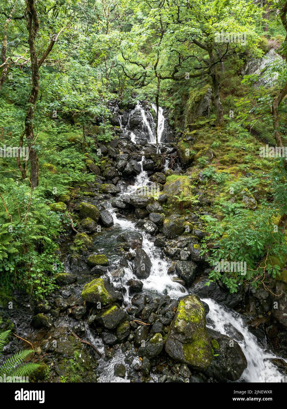 Cascate lungo la strada mentre si sale sulla collina Penygader (Dolgellau)Cadair Idris, Parco Nazionale Snowdonia in Galles, Regno Unito 2022. Foto Stock