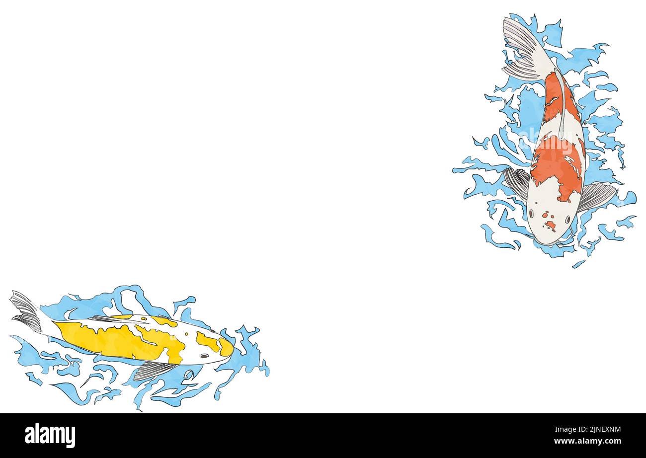 Illustrazione del nuoto della carpa: Senza sfondo, con linee Illustrazione Vettoriale