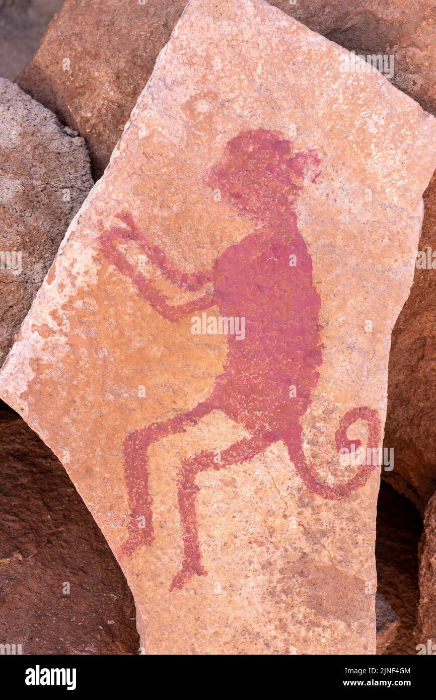 Un dipinto illustrato di un petroglifo di una scimmia presso il sito di Yerbas Buenas Petroglyph nel deserto di Atacama in Cile. Foto Stock