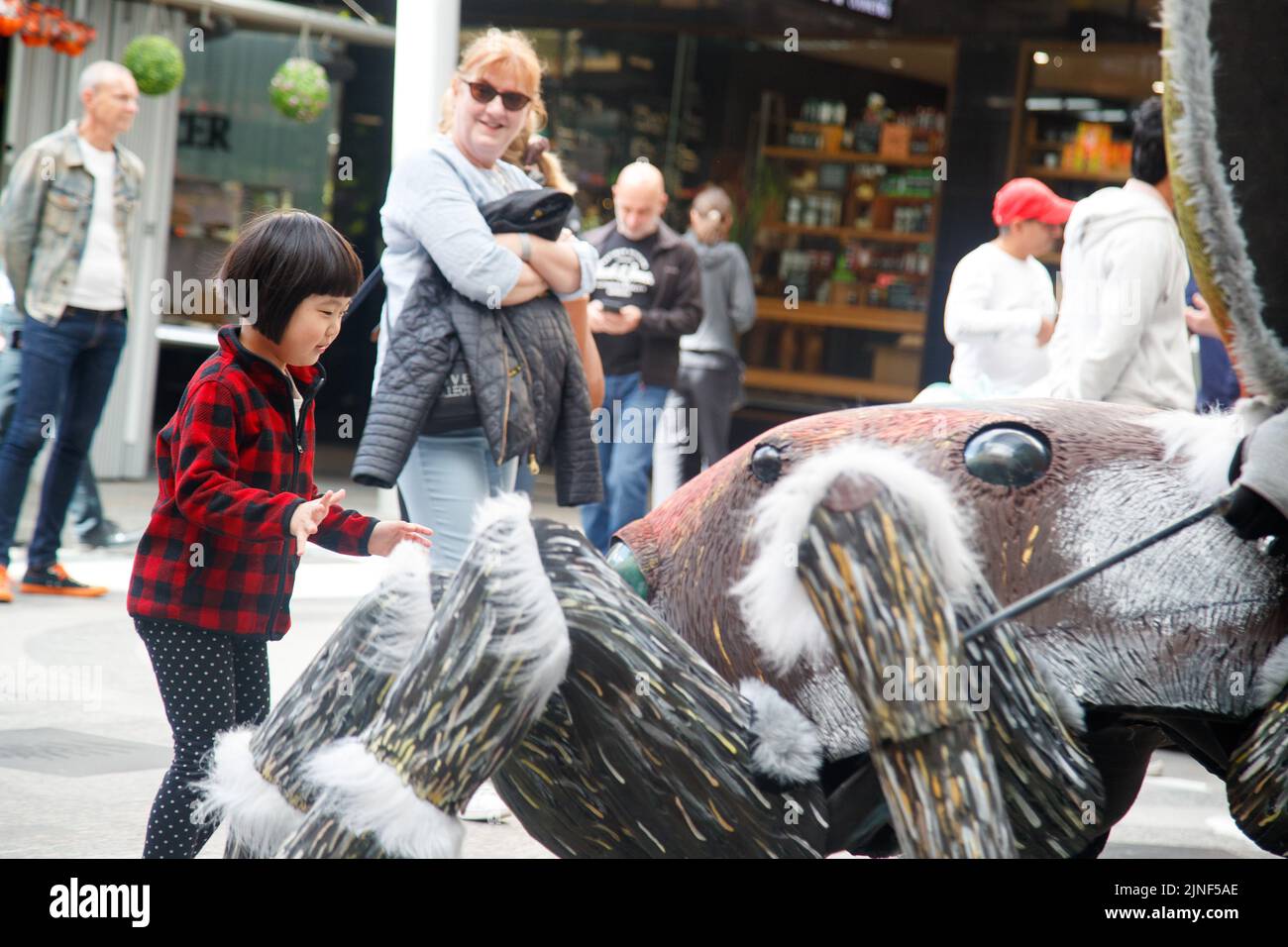 Brisbane, Australia. 11th ago, 2022. Una ragazza interagisce con una persona in un costume gigante di Peacock Spider nel Queen Street Mall di Brisbane al lancio della National Science Week il 11 agosto 2022. Esperimenti dal vivo e mostre di esemplari museali sono state eseguite nel Queen Street Mall di Brisbane per il lancio della National Science Week. La National Science Week è stata fondata nel 1997 per riconoscere il contributo degli scienziati e della tecnologia australiani. (Foto di Joshua Prieto/Sipa USA) Credit: Sipa USA/Alamy Live News Foto Stock