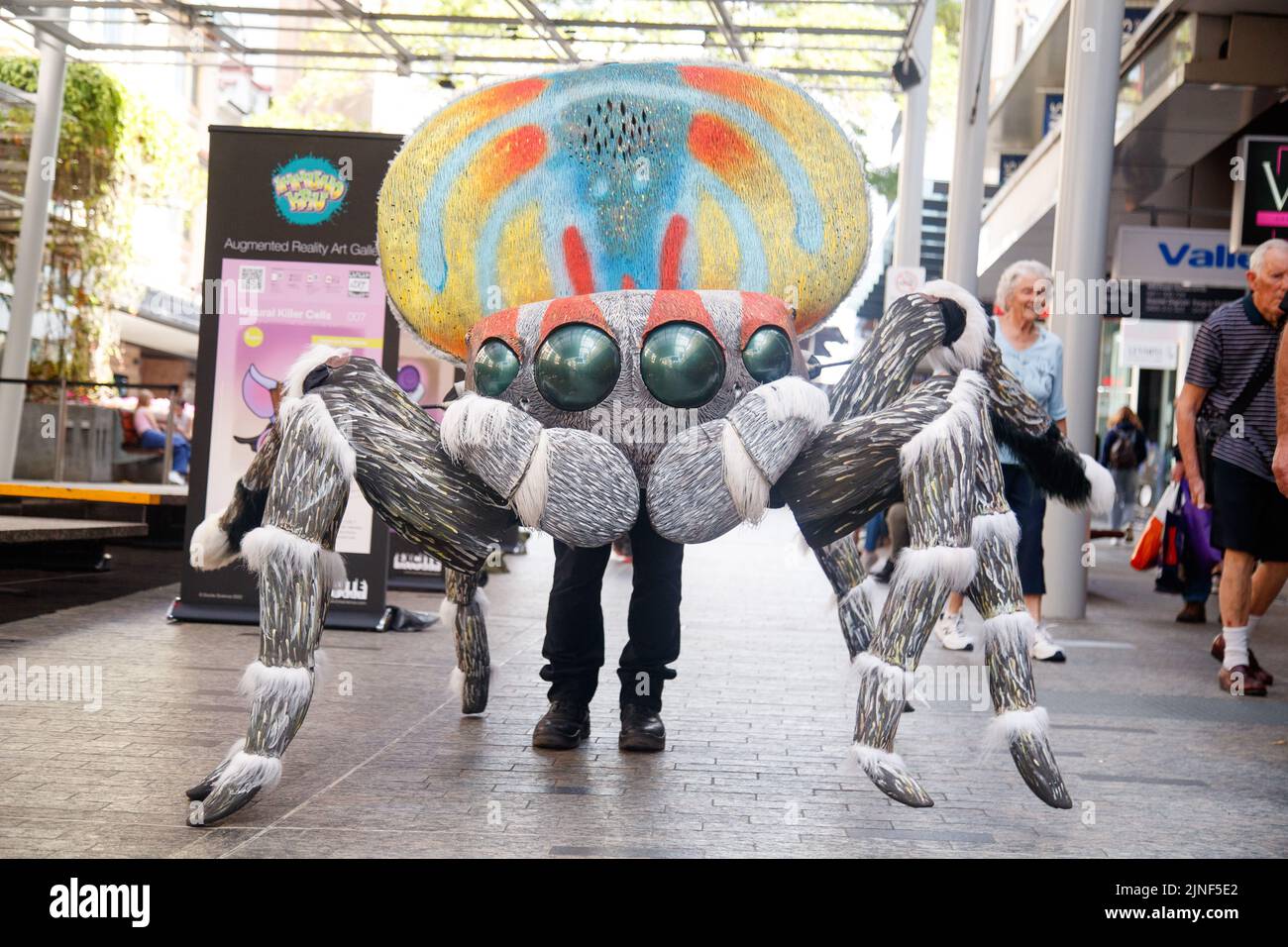Brisbane, Australia. 11th ago, 2022. Una persona si esibisce in un gigante costume Peacock Spider nel Queen Street Mall di Brisbane al lancio della National Science Week il 11 agosto 2022. Esperimenti dal vivo e mostre di esemplari museali sono state eseguite nel Queen Street Mall di Brisbane per il lancio della National Science Week. La National Science Week è stata fondata nel 1997 per riconoscere il contributo degli scienziati e della tecnologia australiani. (Foto di Joshua Prieto/Sipa USA) Credit: Sipa USA/Alamy Live News Foto Stock