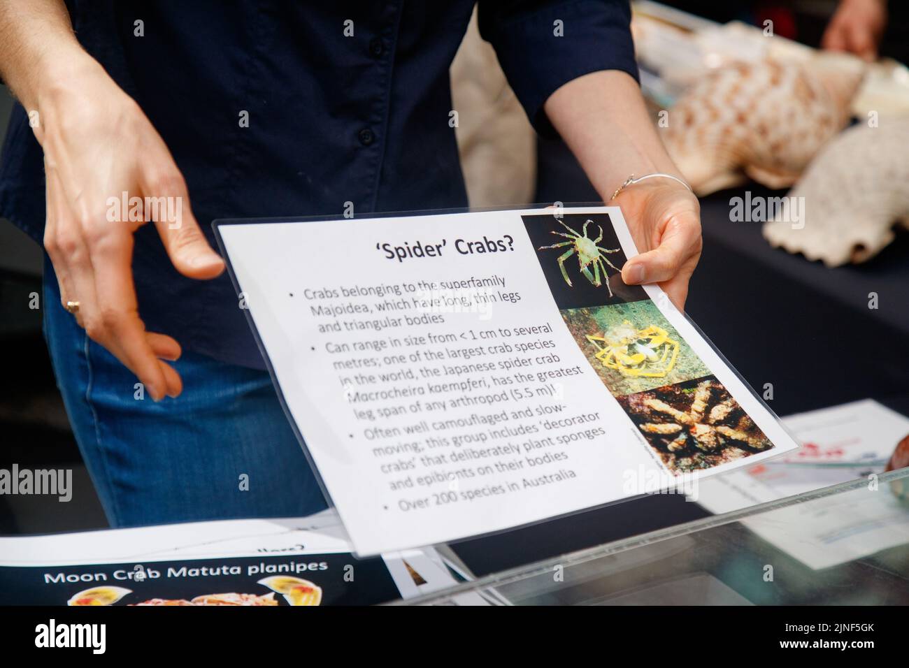 Brisbane, Australia. 11th ago, 2022. Il personale del Queensland Museum parla con il pubblico degli esemplari durante il lancio della National Science Week nel Queen Street Mall di Brisbane il 11 agosto 2022. Esperimenti dal vivo e mostre di esemplari museali sono state eseguite nel Queen Street Mall di Brisbane per il lancio della National Science Week. La National Science Week è stata fondata nel 1997 per riconoscere il contributo degli scienziati e della tecnologia australiani. (Foto di Joshua Prieto/Sipa USA) Credit: Sipa USA/Alamy Live News Foto Stock