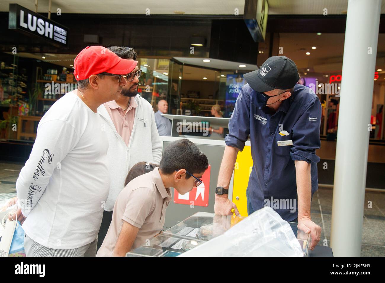 Brisbane, Australia. 11th ago, 2022. Il personale del Queensland Museum parla con il pubblico degli esemplari durante il lancio della National Science Week nel Queen Street Mall di Brisbane il 11 agosto 2022. Esperimenti dal vivo e mostre di esemplari museali sono state eseguite nel Queen Street Mall di Brisbane per il lancio della National Science Week. La National Science Week è stata fondata nel 1997 per riconoscere il contributo degli scienziati e della tecnologia australiani. (Foto di Joshua Prieto/Sipa USA) Credit: Sipa USA/Alamy Live News Foto Stock
