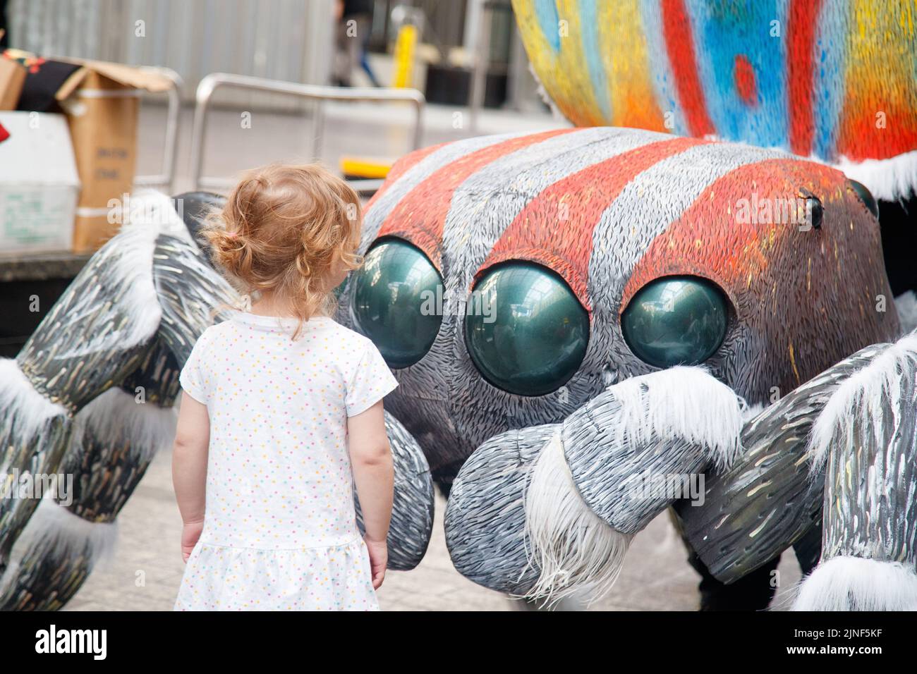 Brisbane, Australia. 11th ago, 2022. Un bambino interagisce con una persona in un costume gigante di Peacock Spider nel Queen Street Mall di Brisbane al lancio della National Science Week il 11 agosto 2022. Esperimenti dal vivo e mostre di esemplari museali sono state eseguite nel Queen Street Mall di Brisbane per il lancio della National Science Week. La National Science Week è stata fondata nel 1997 per riconoscere il contributo degli scienziati e della tecnologia australiani. (Foto di Joshua Prieto/Sipa USA) Credit: Sipa USA/Alamy Live News Foto Stock