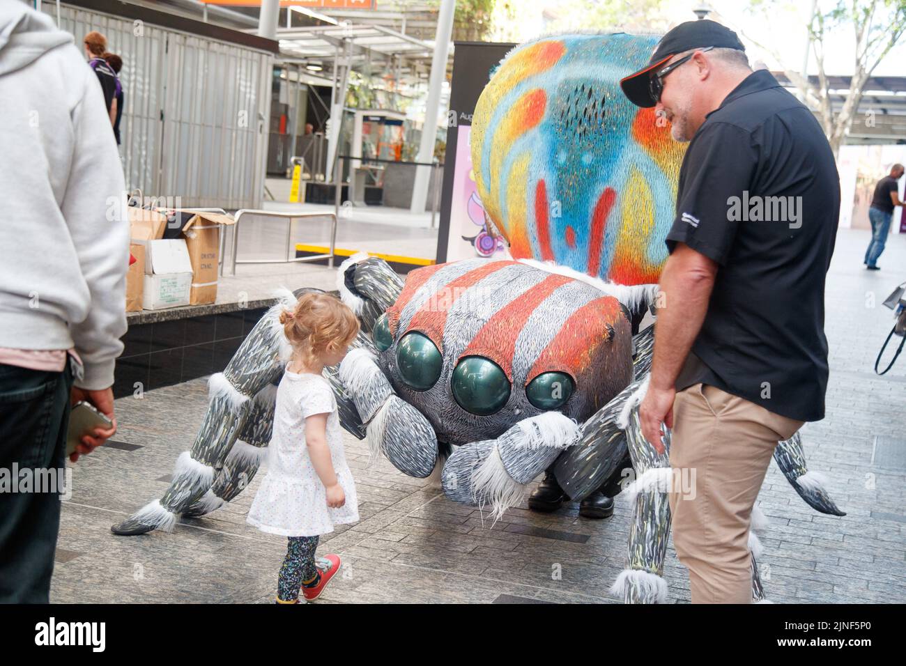 Brisbane, Australia. 11th ago, 2022. Un bambino interagisce con una persona in un costume gigante di Peacock Spider nel Queen Street Mall di Brisbane al lancio della National Science Week il 11 agosto 2022. Esperimenti dal vivo e mostre di esemplari museali sono state eseguite nel Queen Street Mall di Brisbane per il lancio della National Science Week. La National Science Week è stata fondata nel 1997 per riconoscere il contributo degli scienziati e della tecnologia australiani. (Foto di Joshua Prieto/Sipa USA) Credit: Sipa USA/Alamy Live News Foto Stock