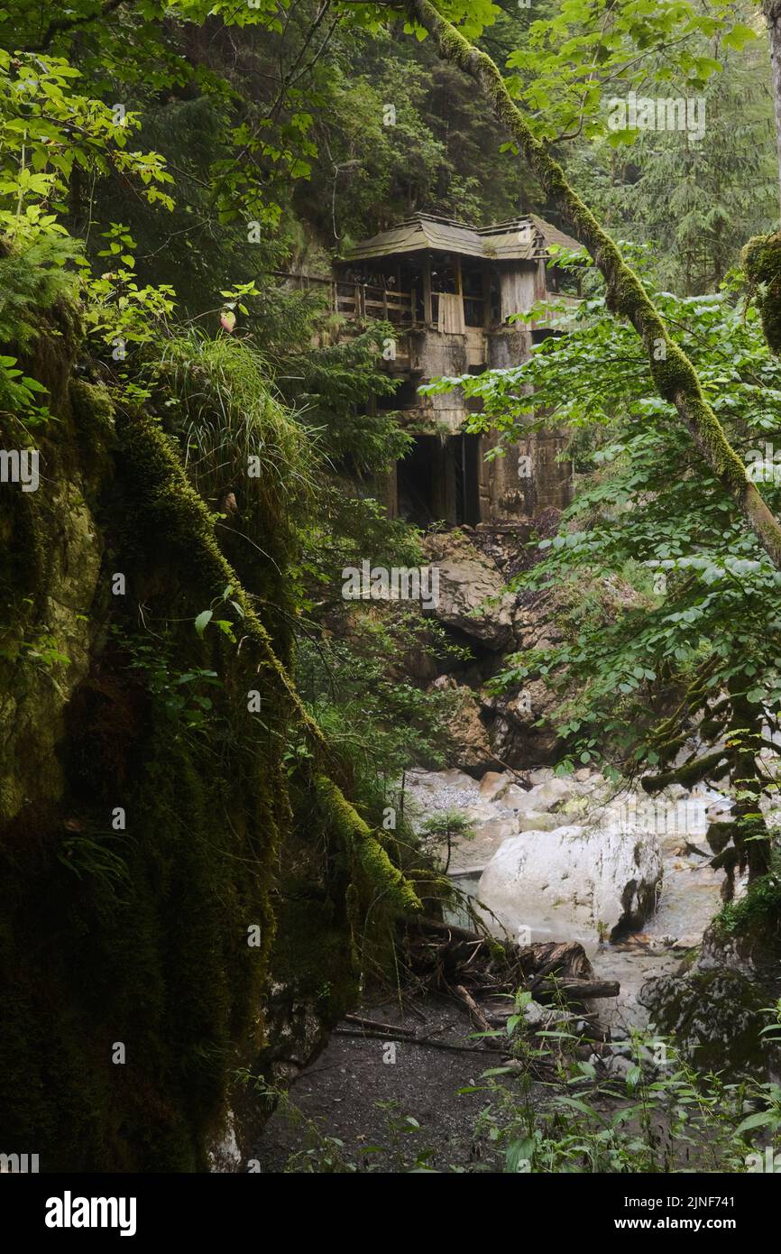 Uno scatto verticale di un vecchio edificio di segheria nella gola di Seisenbergklamm. Weissbach bei Lofer, Austria. Foto Stock