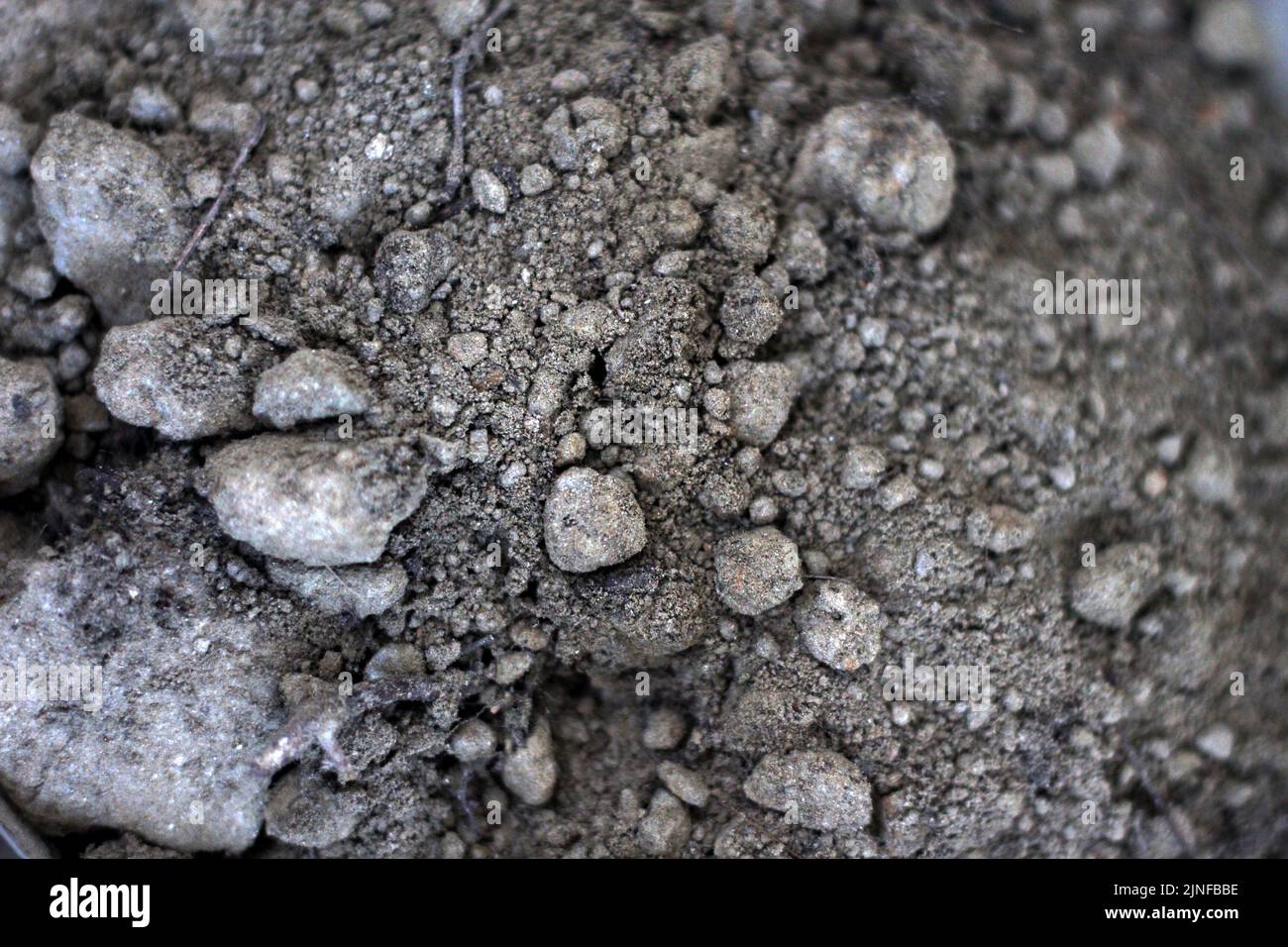 Terra secca spaccata a causa del clima caldo e la siccità, terreno fertile humus nel campo agricolo, struttura primo piano. Foto Stock