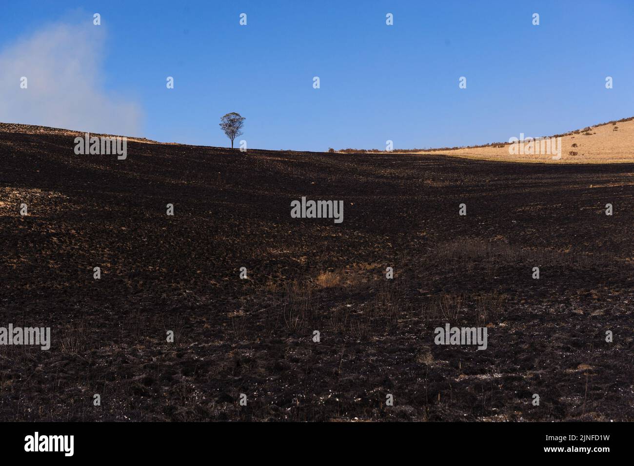Fuochi d'artificio bruciati nella valle di Kamberg in Sud Africa Drakensberg montagne durante i mesi invernali, quando la stagione degli incendi minaccia Foto Stock