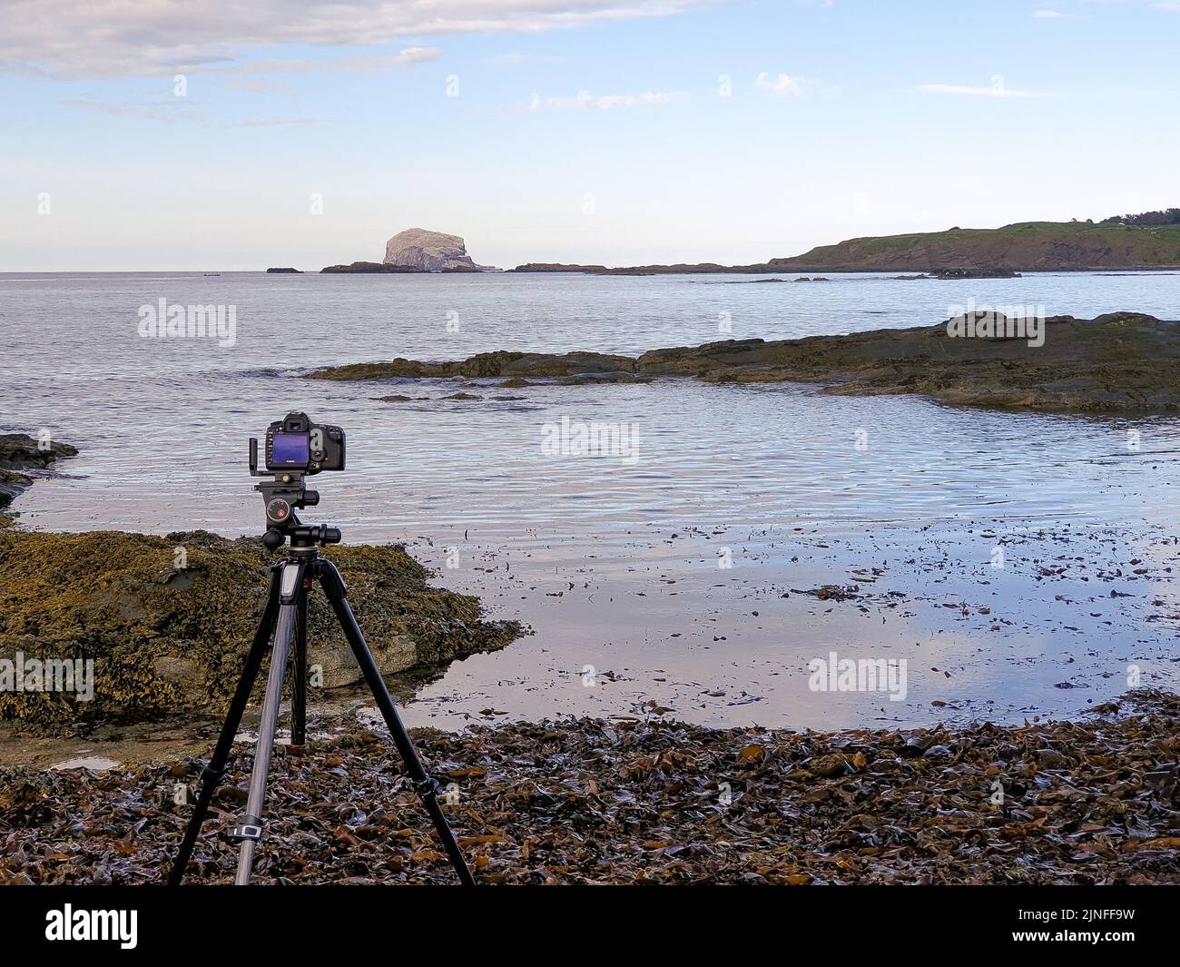 Berwick nord, Scozia. Una sera d'estate, guardando fuori a Bass Rock. Fotografare gente di spiaggia e nuotatori selvaggi Foto Stock