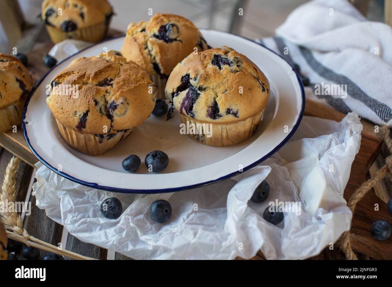 Muffin fatti in casa ai mirtilli su un piatto di smalto vecchio stile Foto Stock