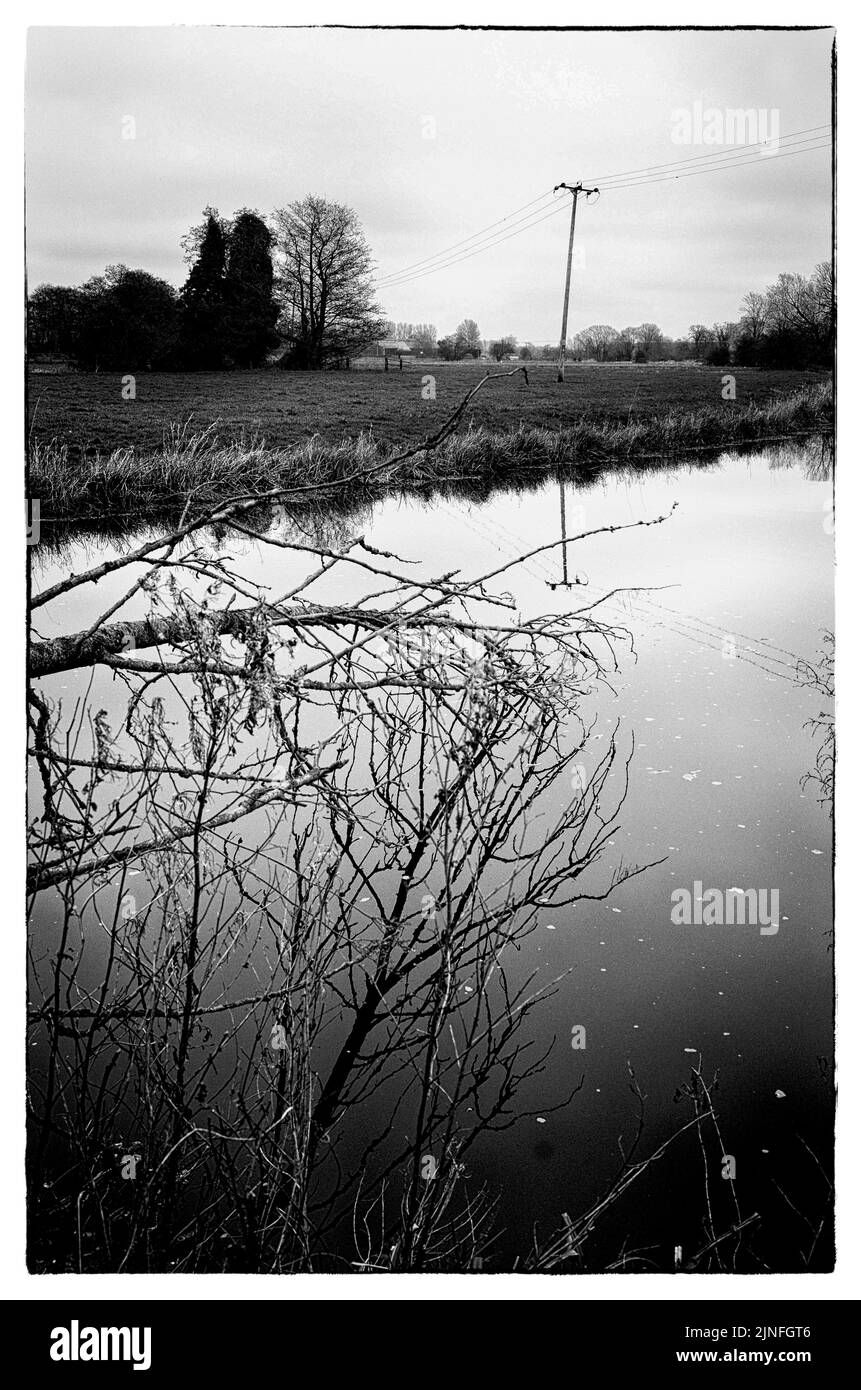 falcon prato e fiume waveney a bungay suffolk inghilterra Foto Stock