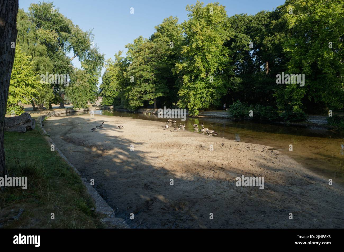 Letto di fiume esposto del fiume Little Ouse a Thetford, causato dalla prolungata ondata di caldo e siccità nel luglio e agosto 2022. Foto Stock