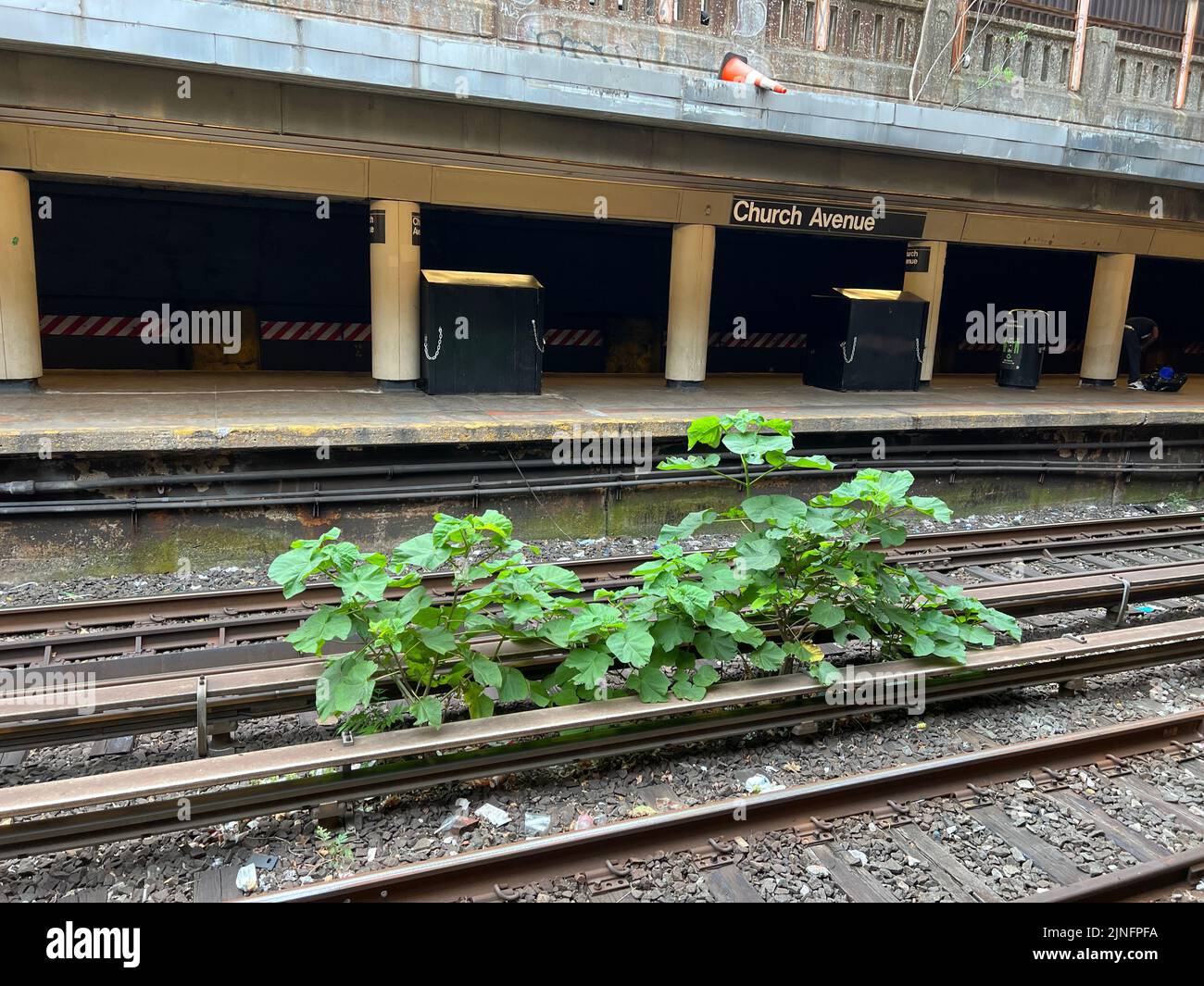 La natura si afferma sulle tracce della stazione della metropolitana all'aperto Church Avenue lungo le linee Q & B a Brooklyn, New York. Foto Stock