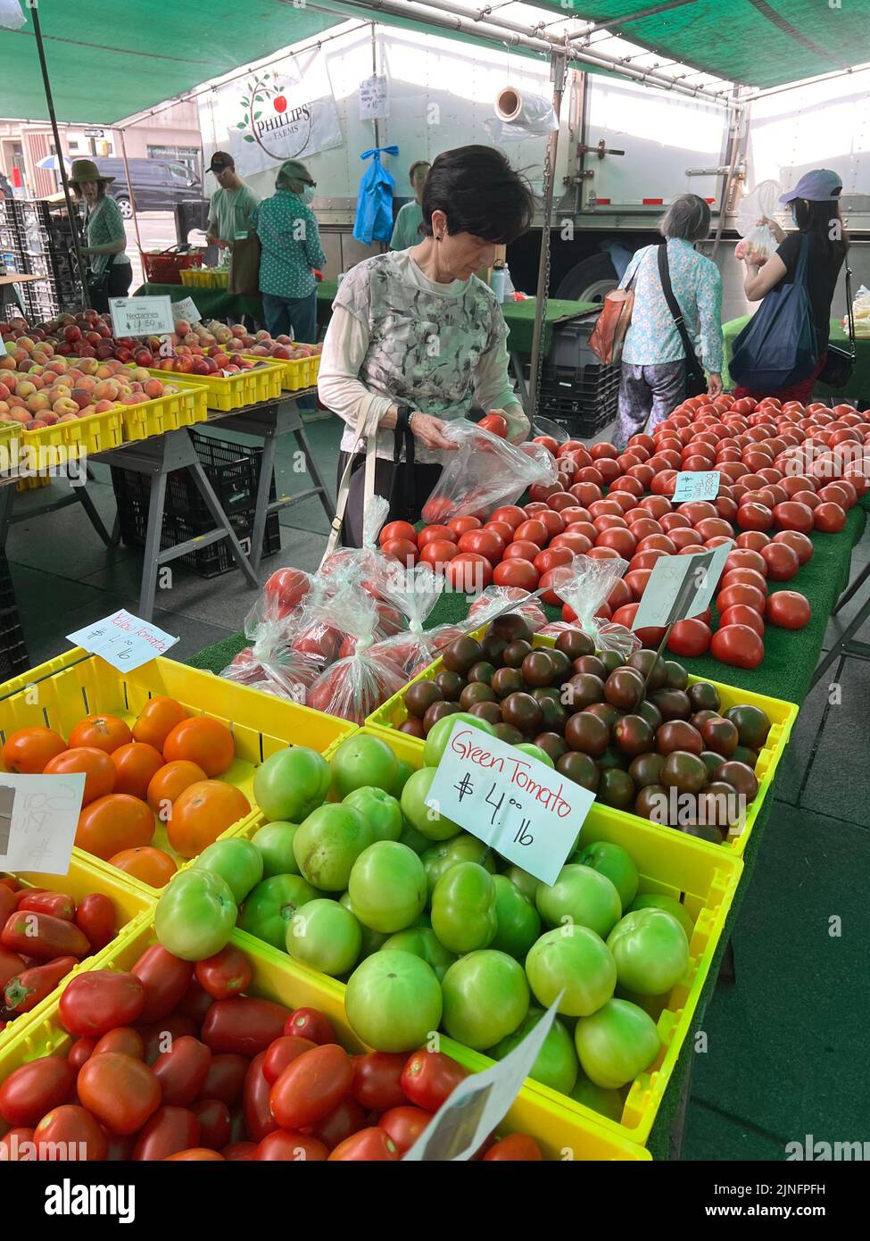 Donna sceglie attraverso la varietà di pomodori freschi per la vendita al mercato degli agricoltori nel centro di Brooklyn, New York. Foto Stock