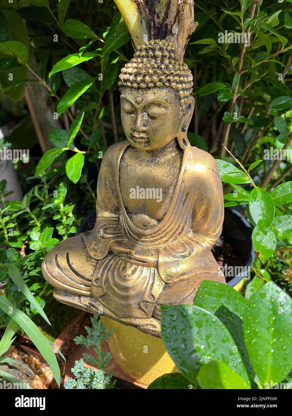 Buddha seduto, all'aperto tra le piante, Brooklyn, New York. Foto Stock