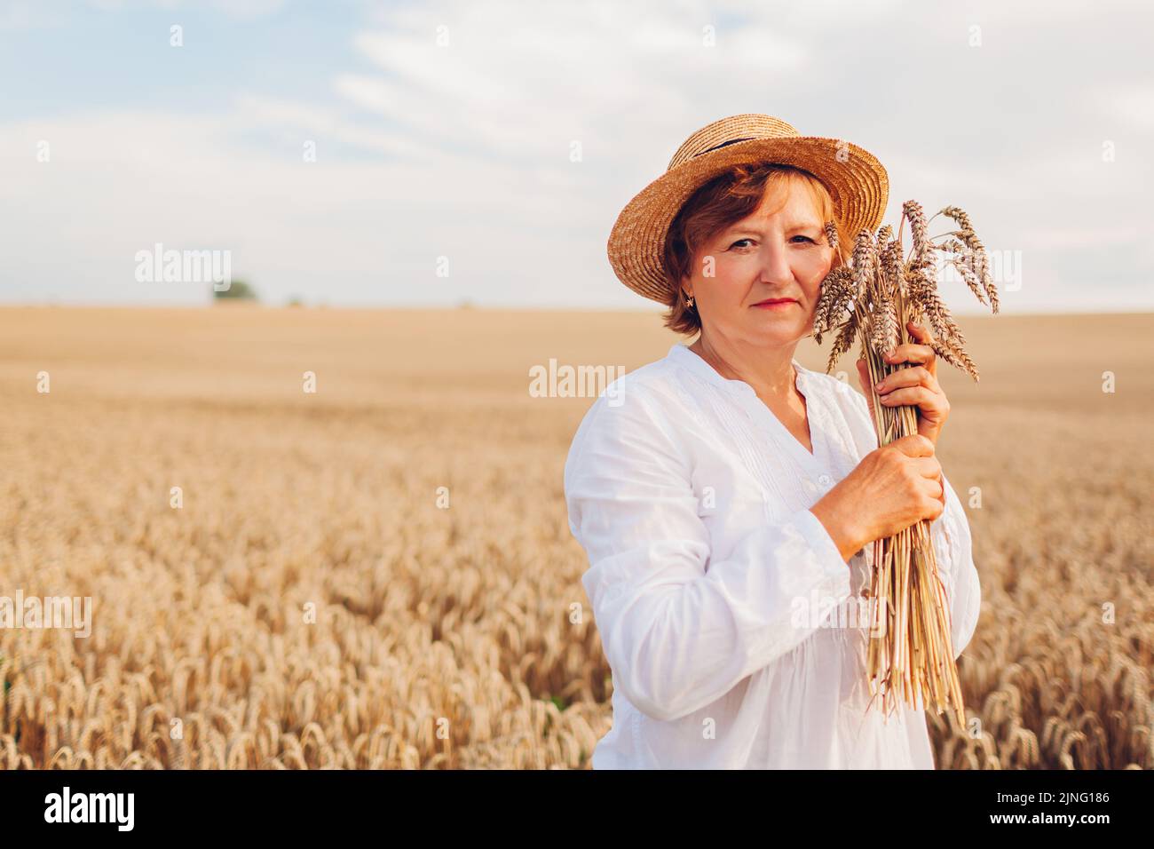 Donna anziana sorridente che tiene mazzo di grano in campo estivo al tramonto. Raccolto in Ucraina. Agricoltura e agricoltura. Simbolo ucraino Foto Stock