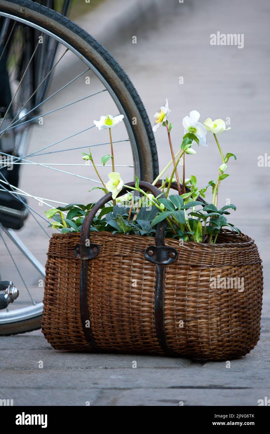 Fiori Bouquet. Foto Stock